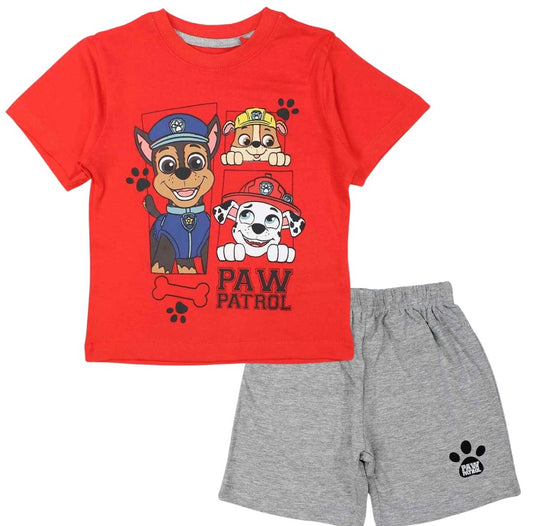 Ensemble Paw patrol