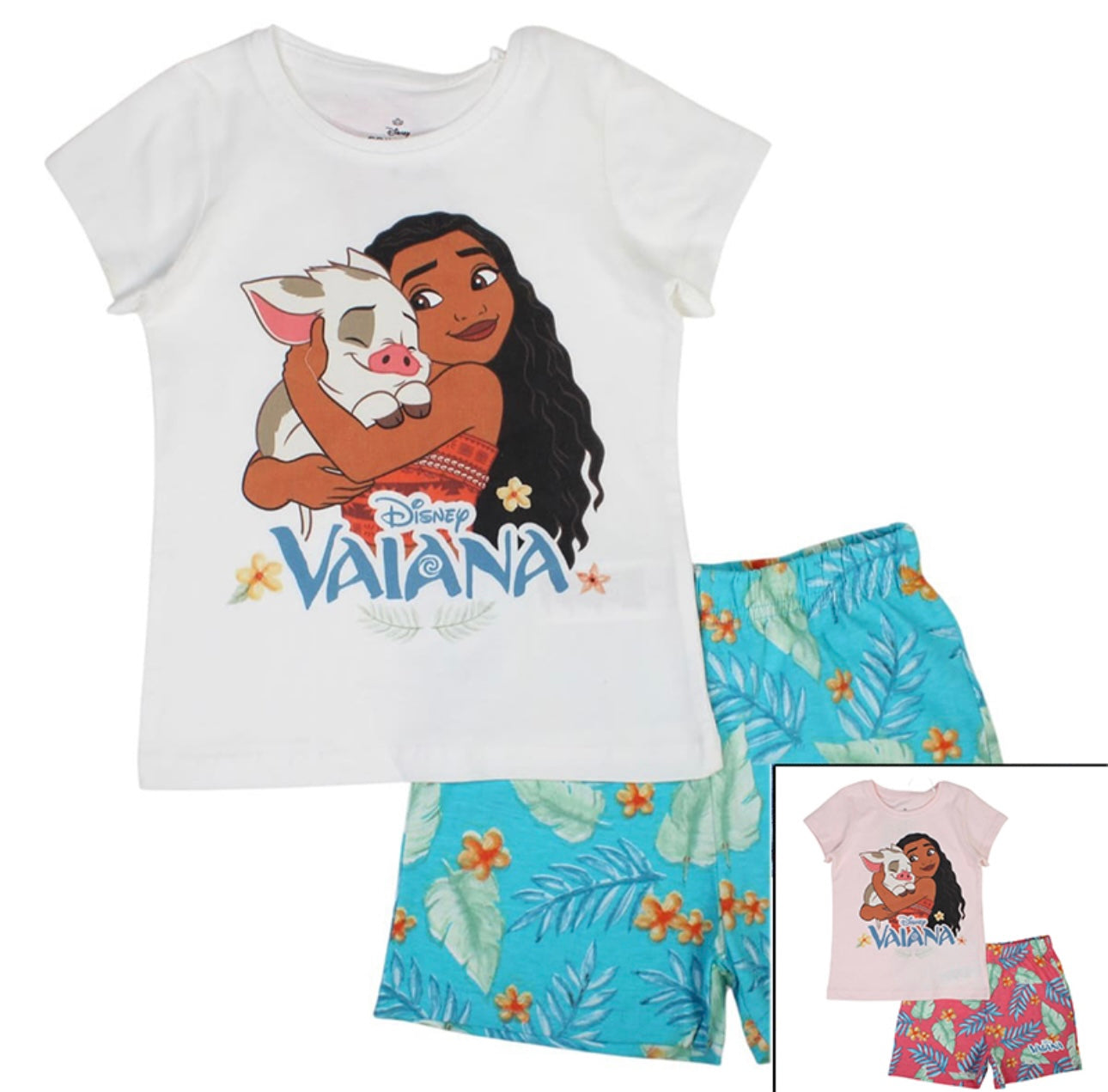 Ensemble Vaiana