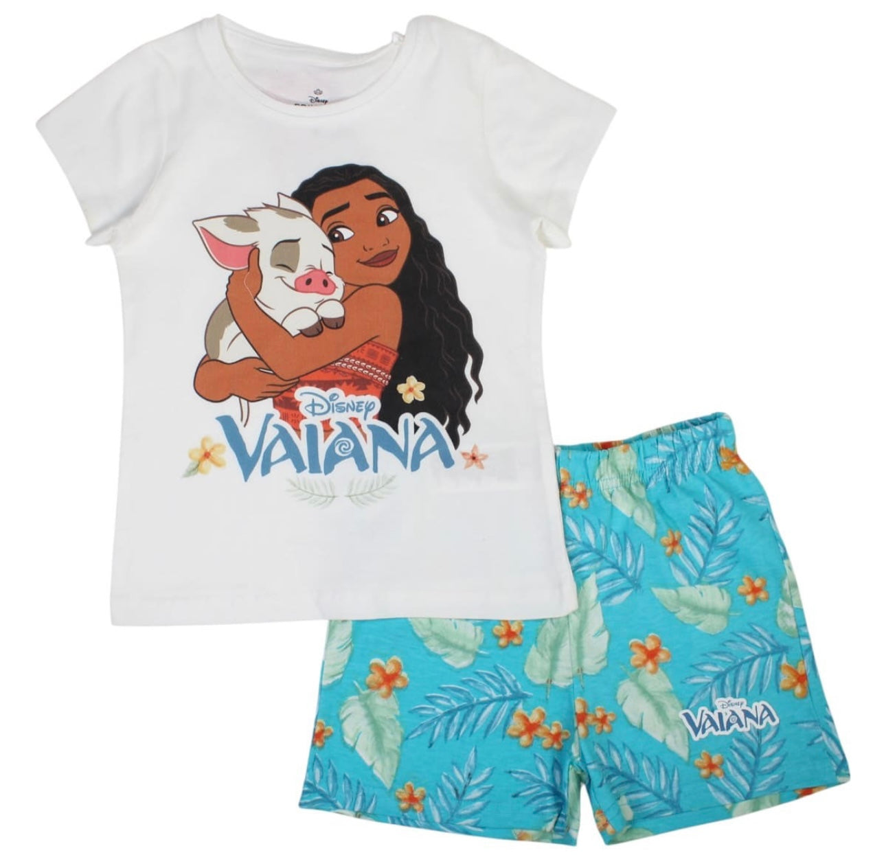 Ensemble Vaiana