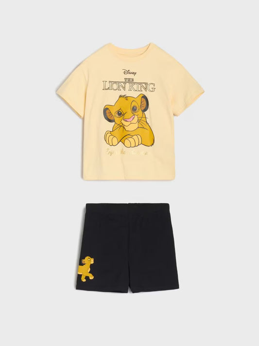 Ensemble Simba ROI LION