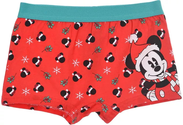 Boxer Noël Mickey