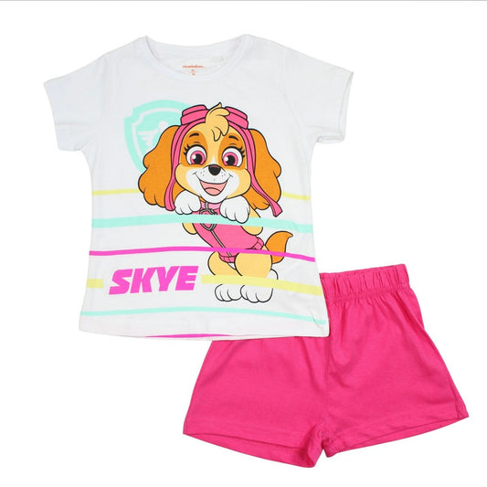 Ensemble paw patrol