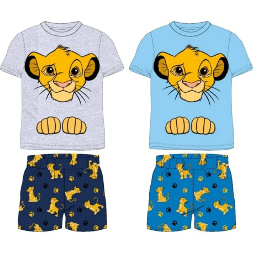 Ensemble Simba