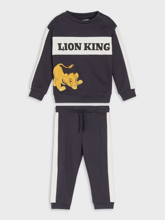 Ensemble roi lion